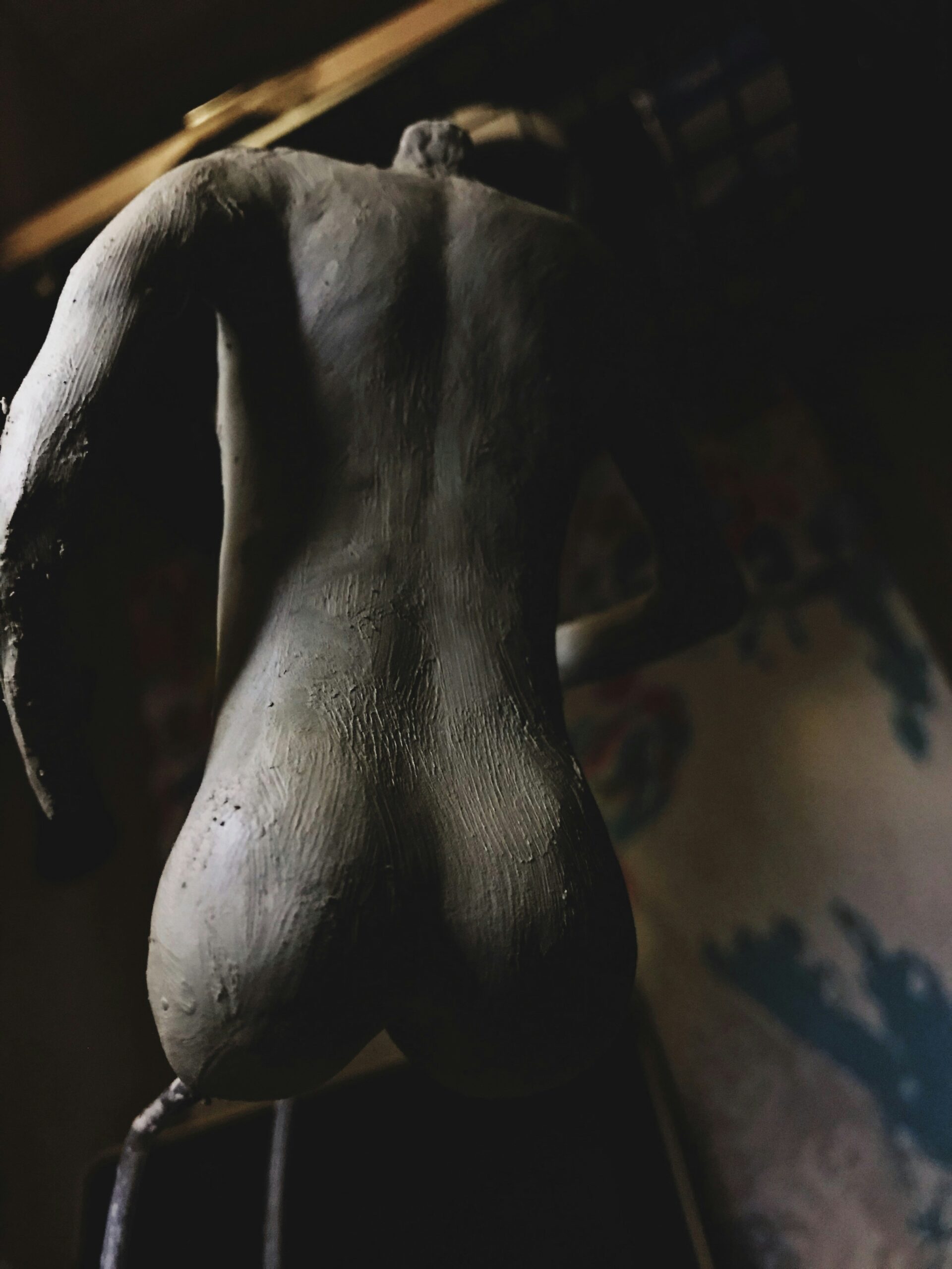 "Ranbir Kapoor Nude Scene Animal